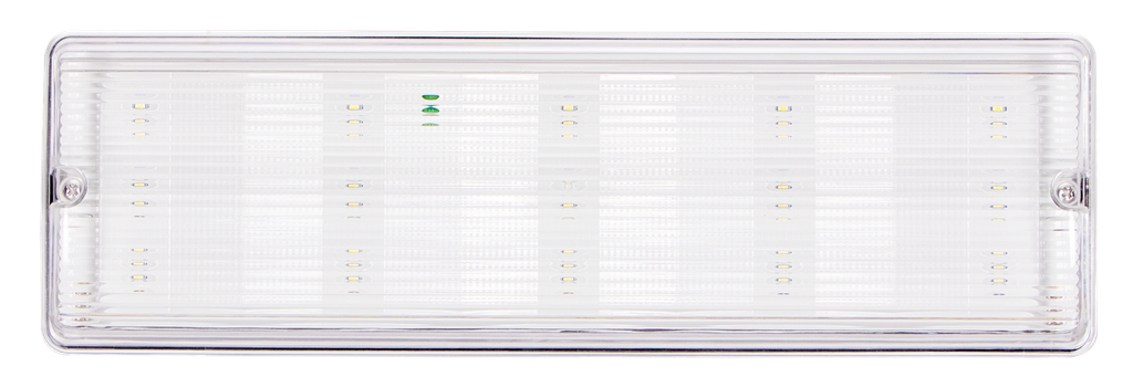 E-BS2-650365-BLOC SECOURS LED APPARENT IP65 220V ZINKOVAN