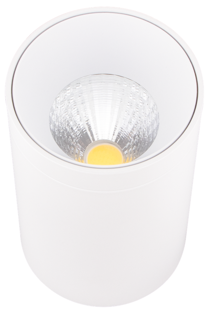 S-RH0-221840-SPOT LED APPARENT CYLINDRIQUE COB 220V DOVENBI