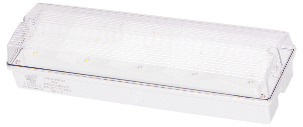 E-BS2-650365-BLOC SECOURS LED APPARENT IP65 220V ZINKOVAN