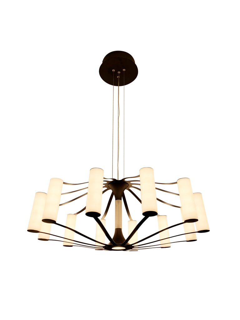 C-SUP-222755-SUSPENSION LUSTRE LED 220V ENABIA