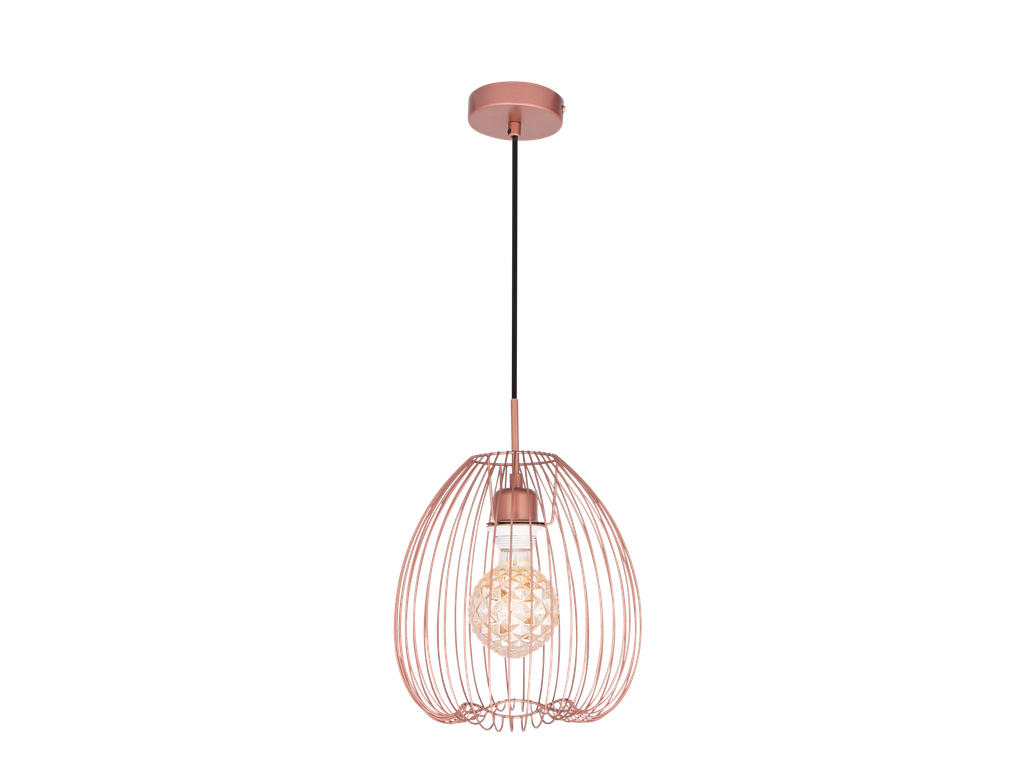 803-FANCY-001- SUSPENSION E27 220V D250